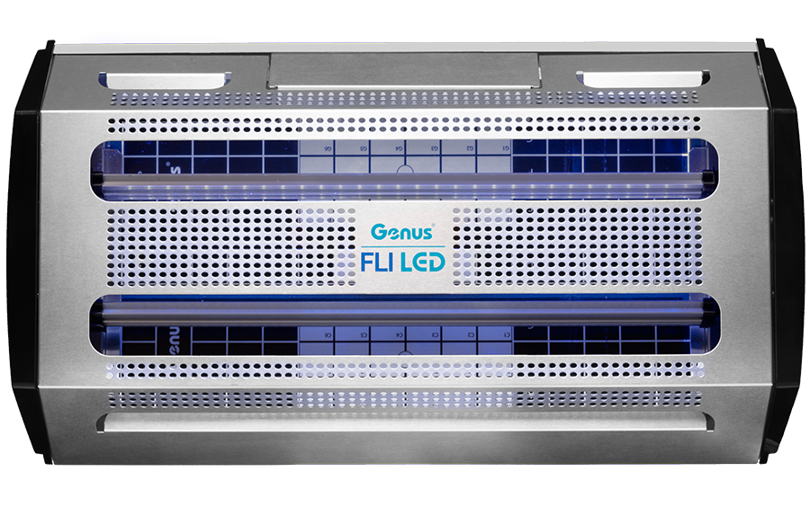 Brandenburg Genus FlI Led