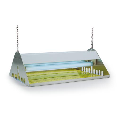 Flytrap Commercial 30 Wit